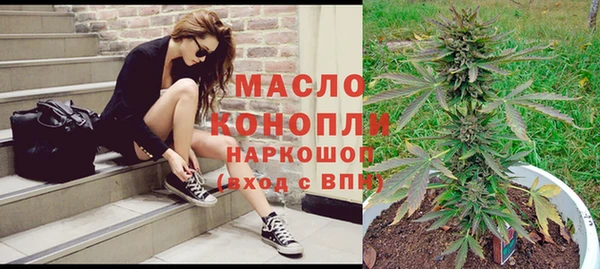 мдпв Янаул