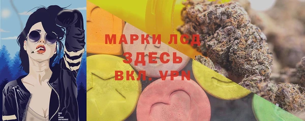 мяу мяу мука Дмитров