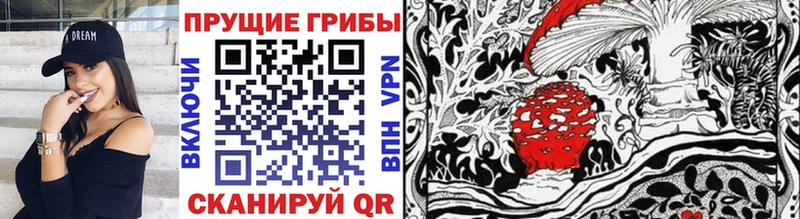 Купить где  Руза  Псилоцибиновые грибы Cubensis 